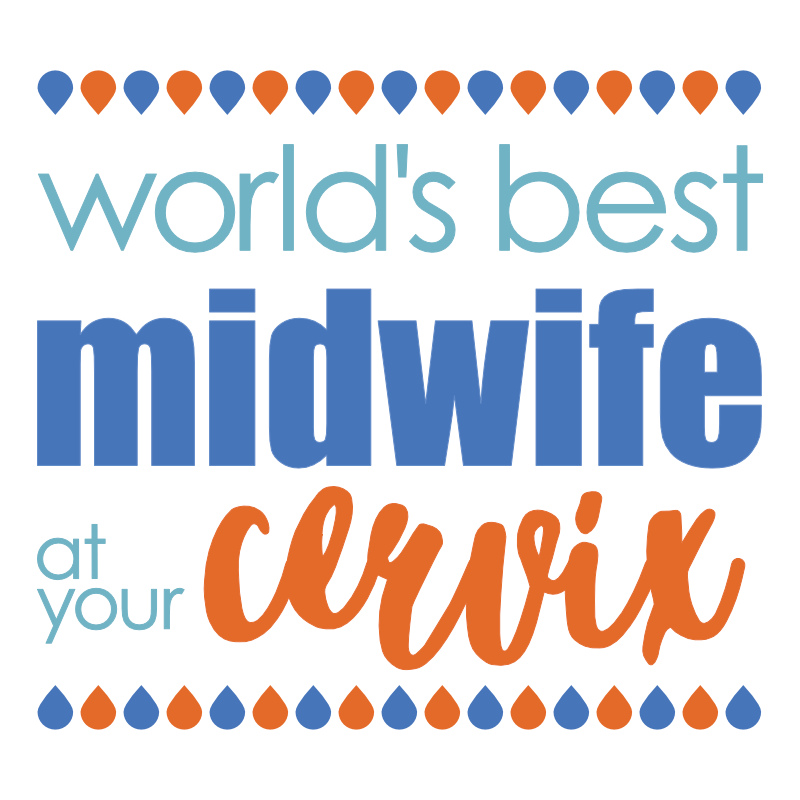 'World's Best Midwife at your Cervix' — corny, but oh so important when push comes to shove. These miracle workers deserve a thank you with a smile. Always ready for a cuppa, give them the mug they will always reach for. Personalised with your message.